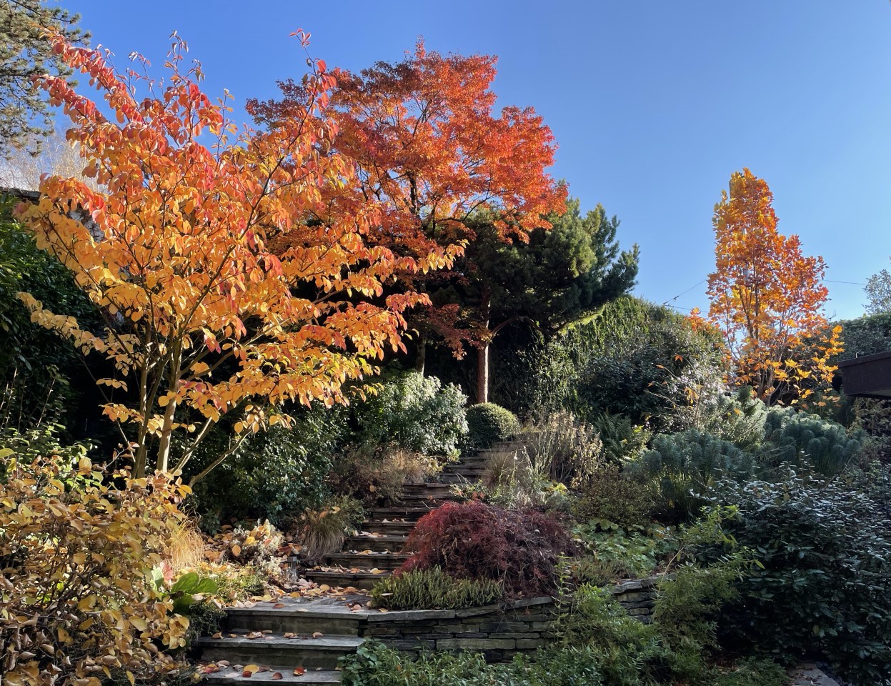 les belles couleurs d automne Chappuis